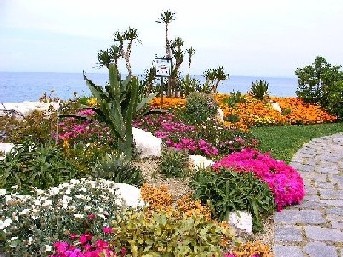 Ischia